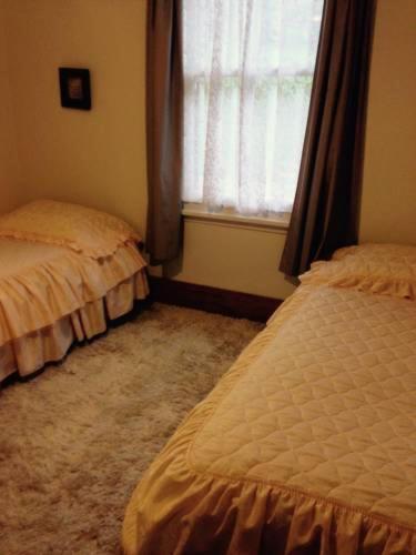 Waipiro Bay Paradise Bed & Breakfast Te Puia Ngoại thất bức ảnh